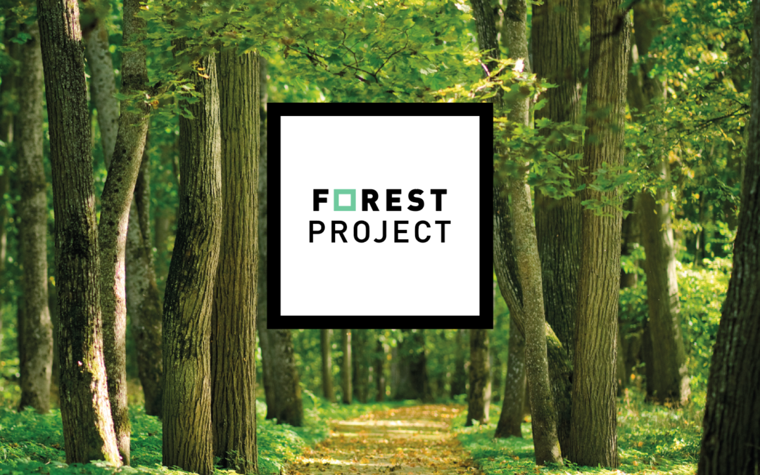 Forest Project
